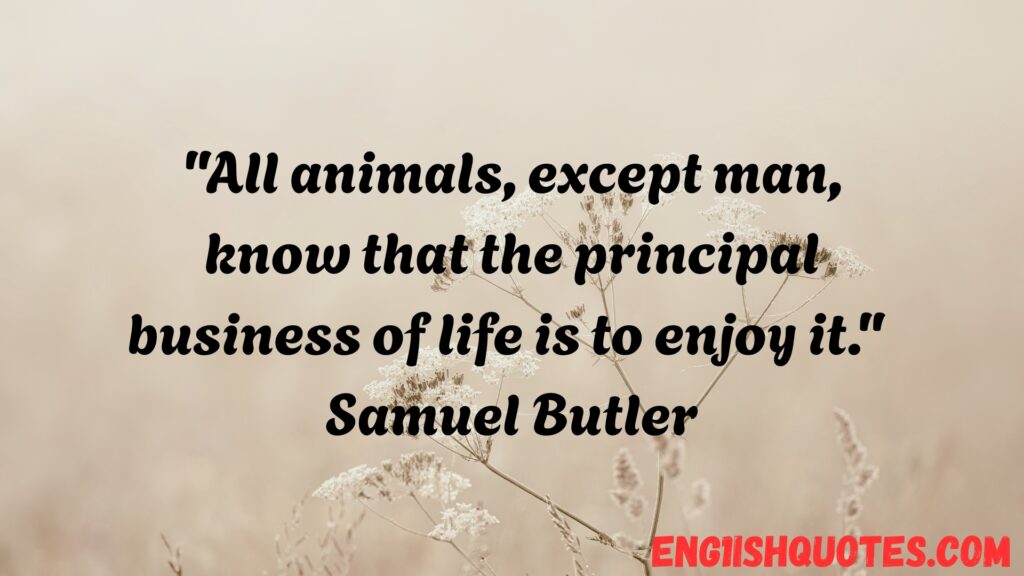 Animal Quotes to Inspire Love for Animals
