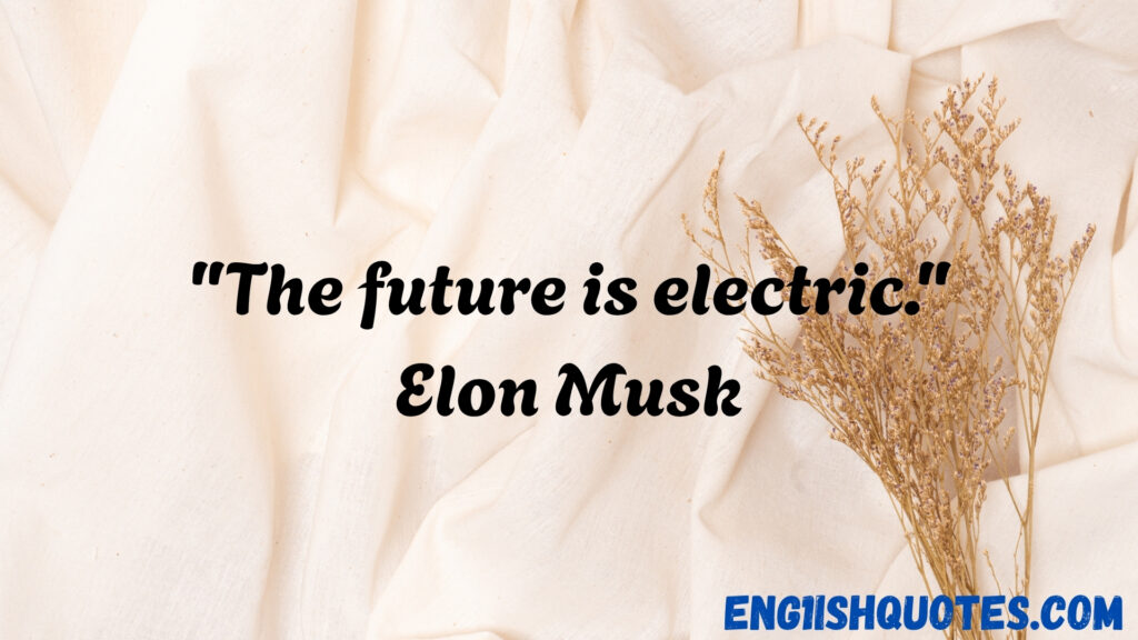  Gas and Electric Quotes