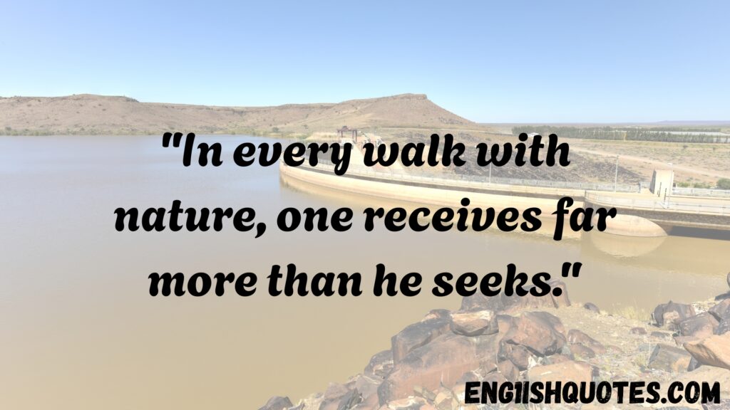 Top 10 Best Nature and Environment Quotes

