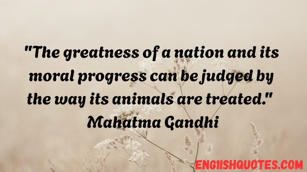Animal Quotes to Inspire Love for Animals