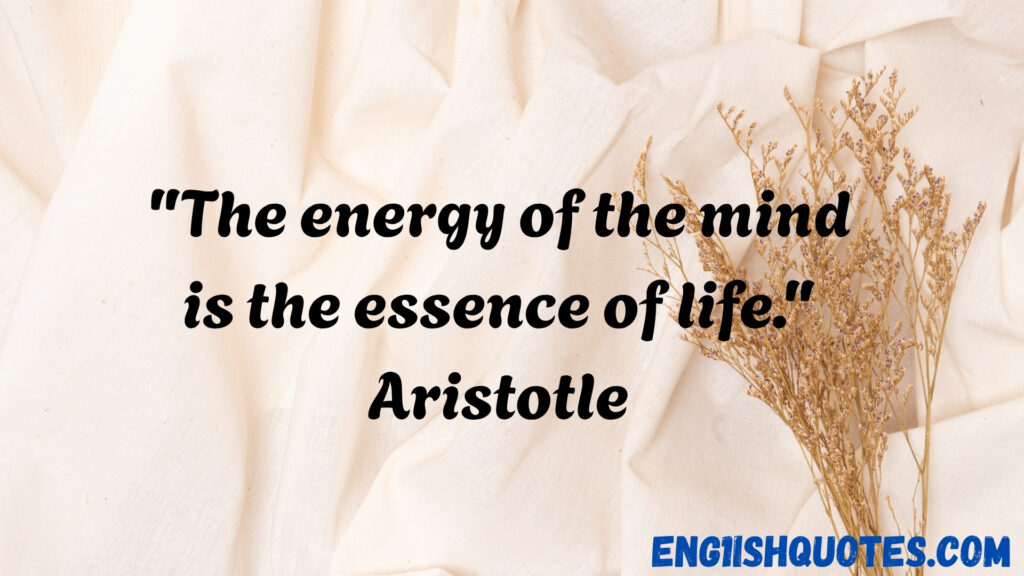  Gas and Electric Quotes