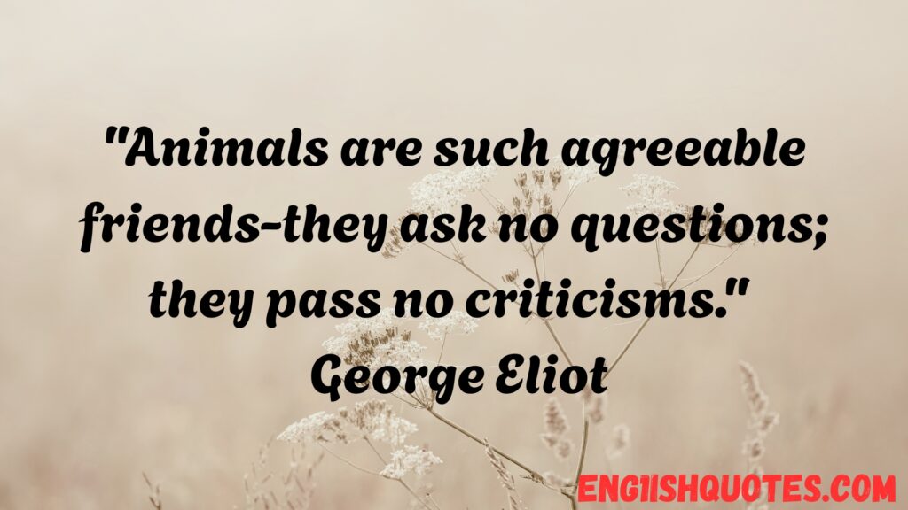 Animal Quotes to Inspire Love for Animals