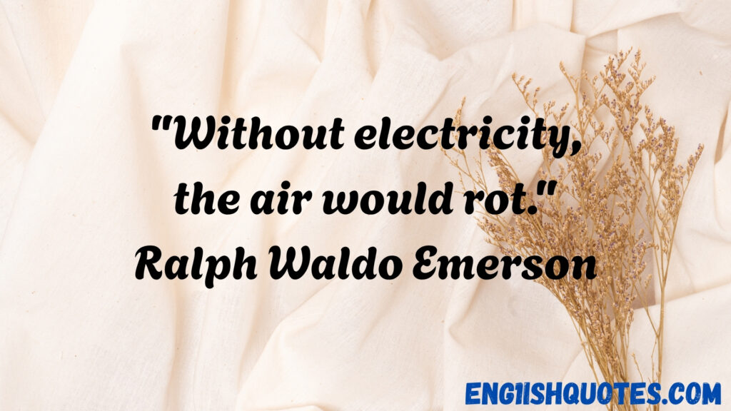  Gas and Electric Quotes