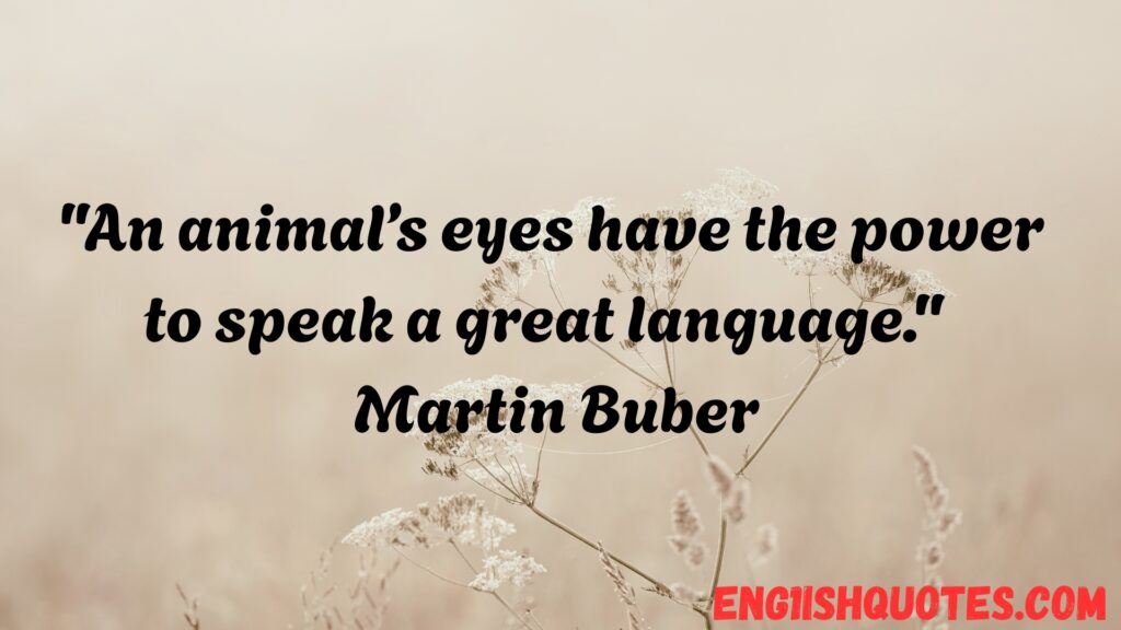 Animal Quotes to Inspire Love for Animals