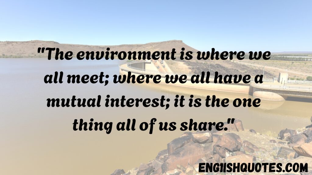 Top 10 Best Nature and Environment Quotes

