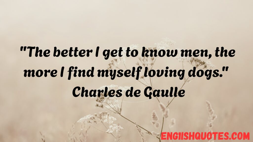 Animal Quotes to Inspire Love for Animals