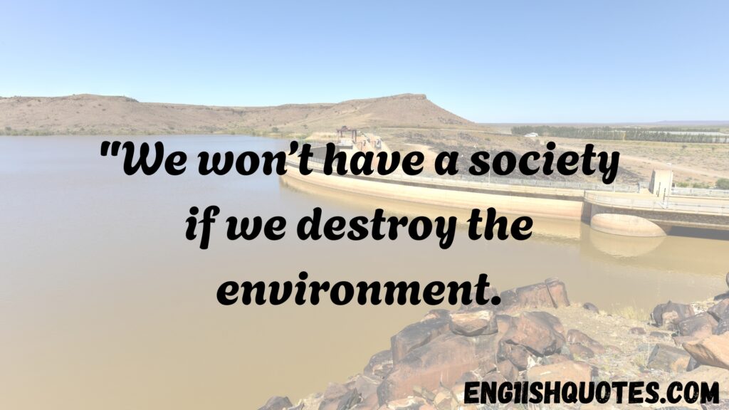 Top 10 Best Nature and Environment Quotes

