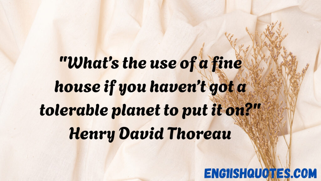  Gas and Electric Quotes