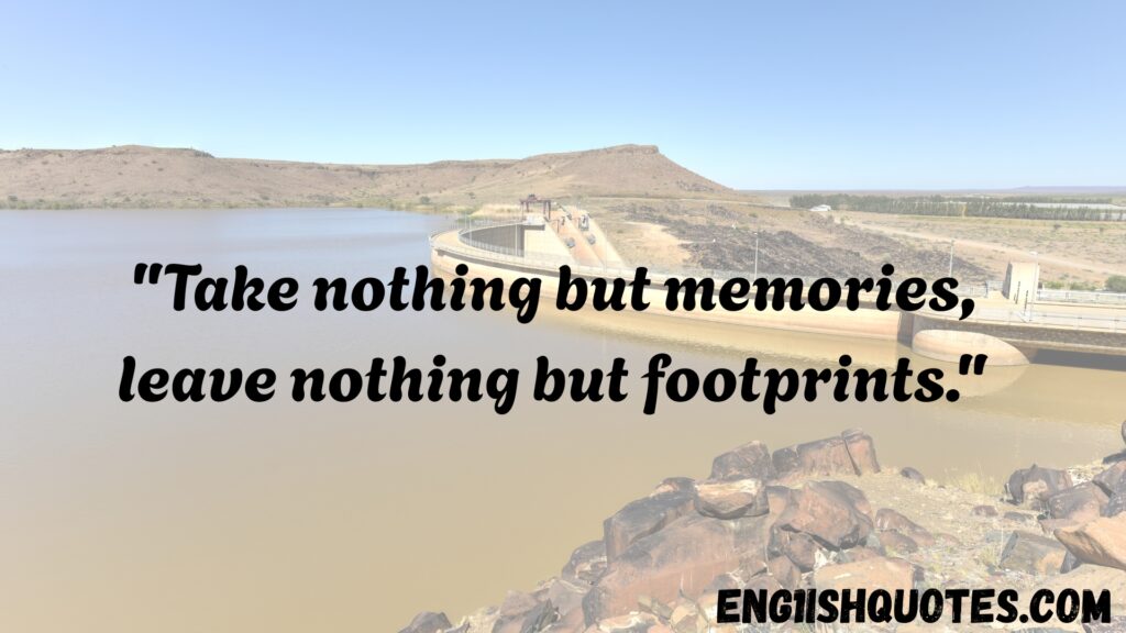 Top 10 Best Nature and Environment Quotes

