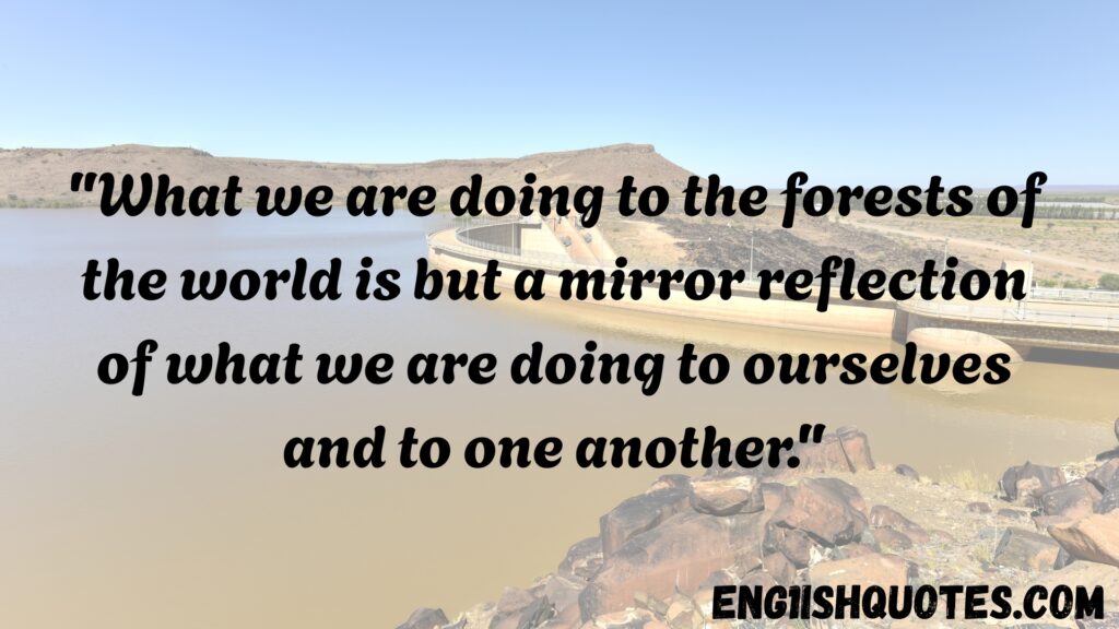 Top 10 Best Nature and Environment Quotes

