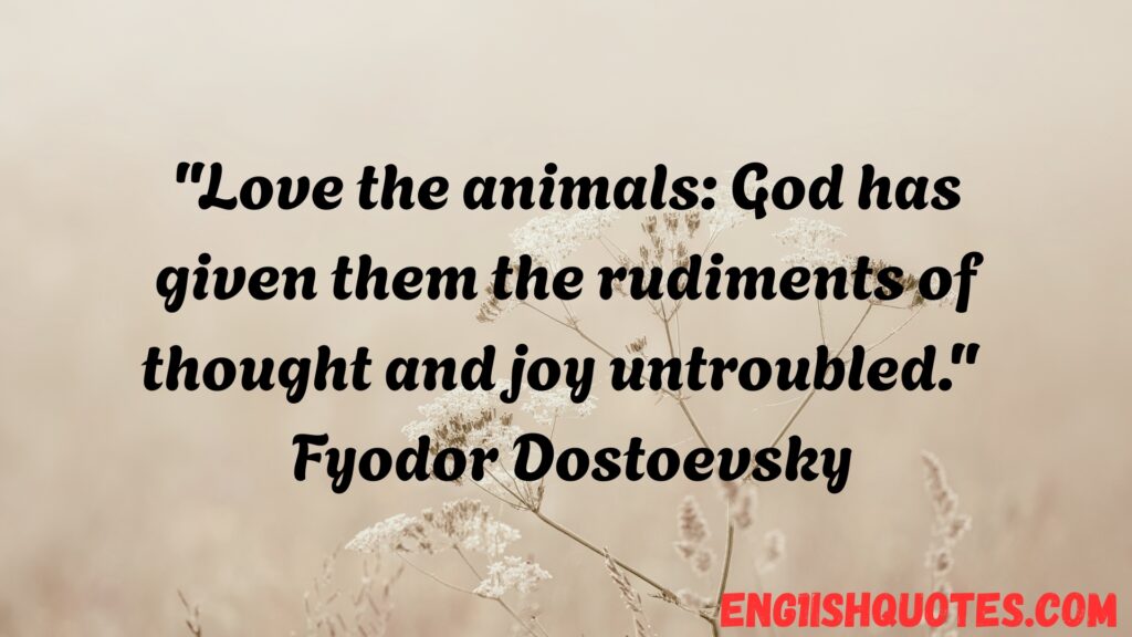 Animal Quotes to Inspire Love for Animals