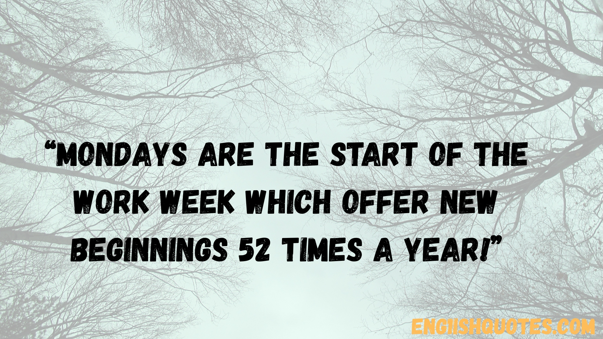 Positive Monday Quotes To Start The Day