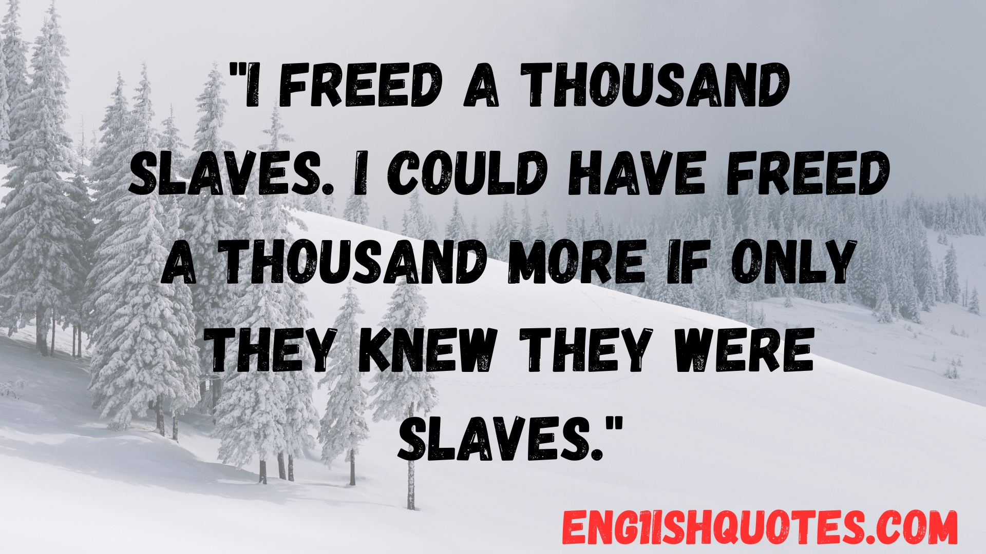 Powerful Harriet Tubman Quotes That Inspire Courage and Freedom