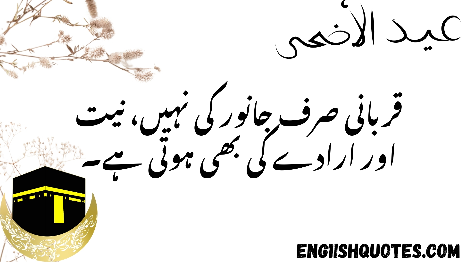 Top Eid al-Adha Quotes in Urdu