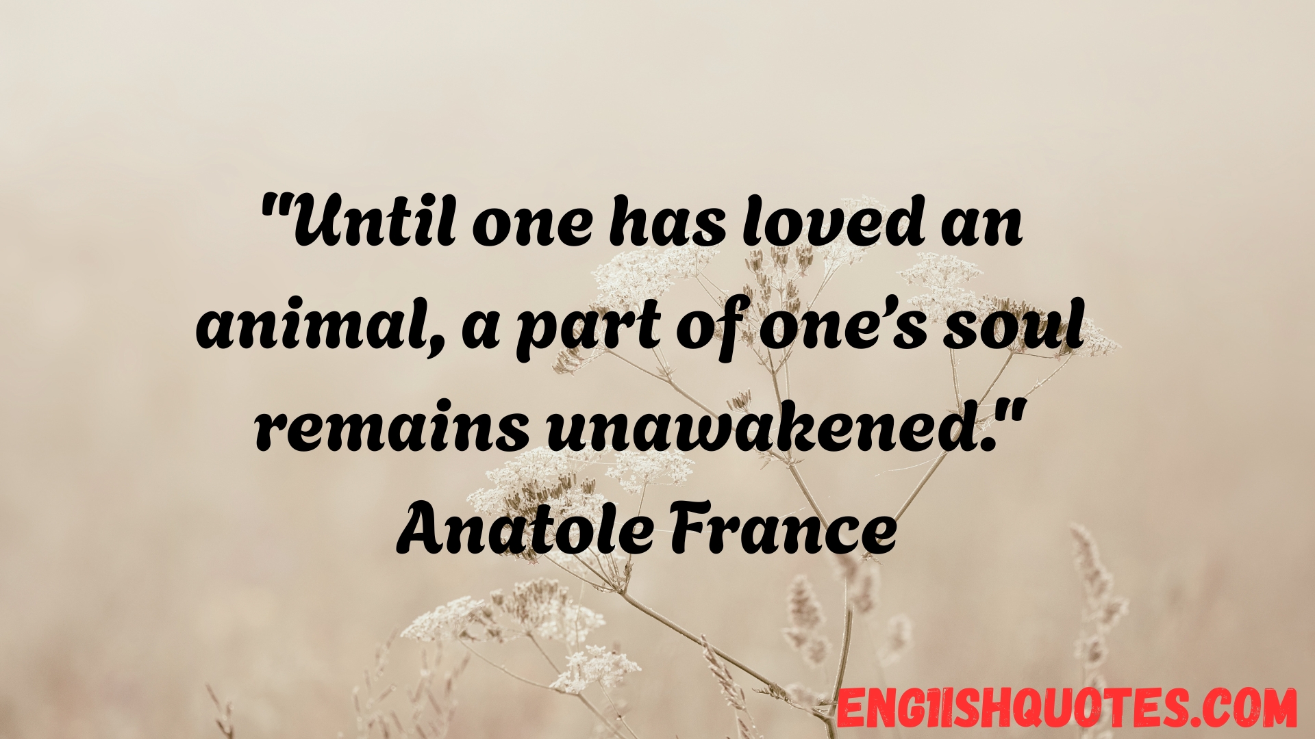 Animal Quotes to Inspire Love for Animals