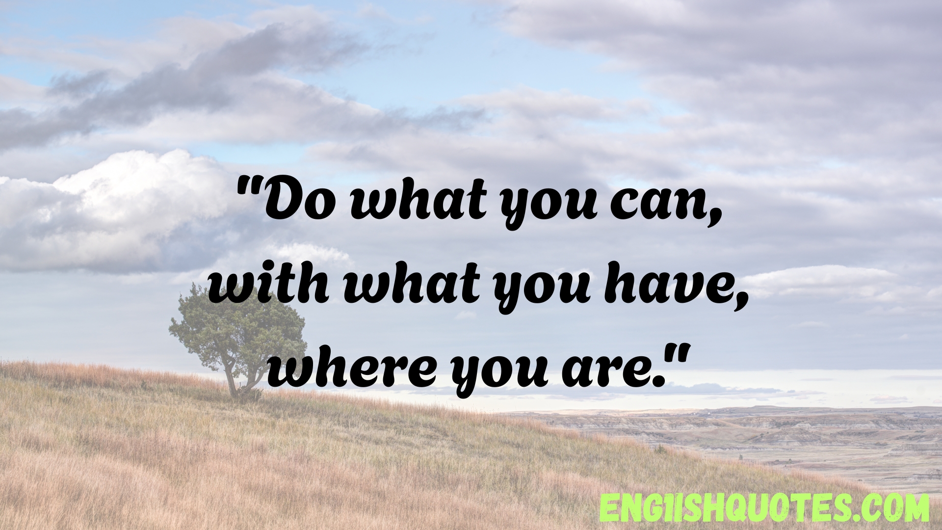 Teddy Roosevelt Quotes