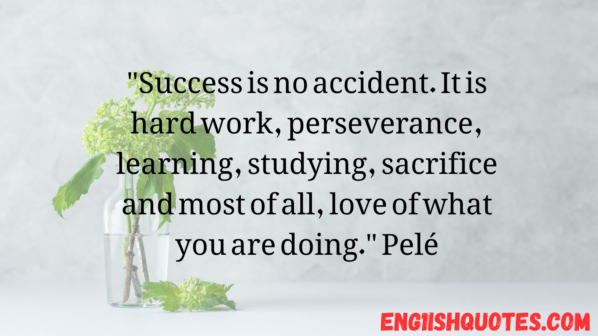 Hard Work Quotes to Fuel Your Motivation