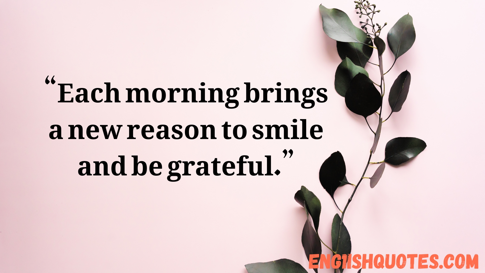 Unique Good Morning Quotes to Brighten Your Day